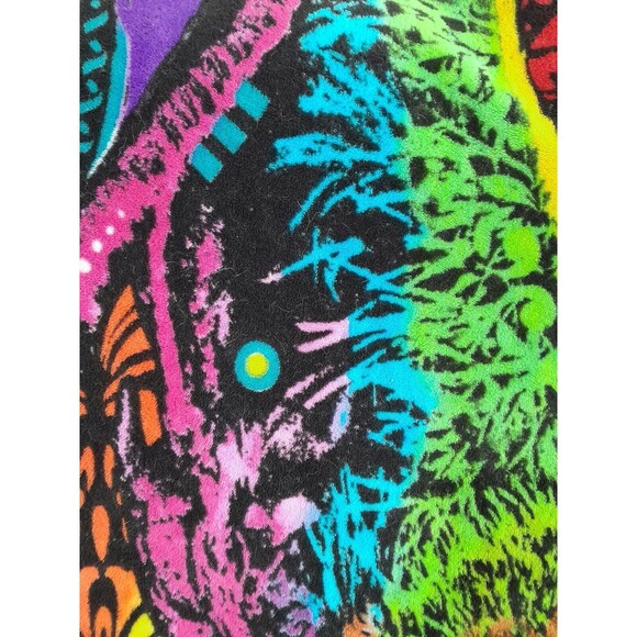 Rainbow Cat Fleece Blanket By Dean Russo, Dawhud Direct 52x47 inch - Picture 4 of 5